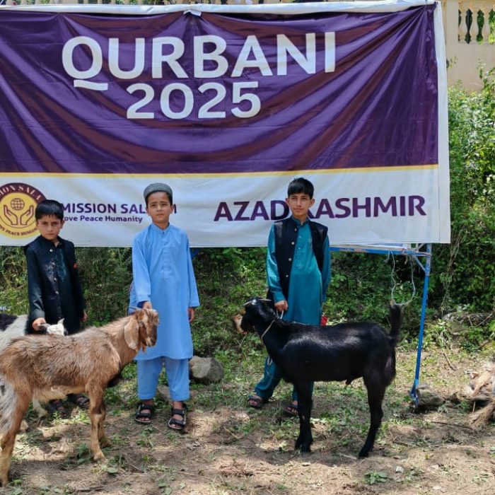 Qurbani 2025 Showcase 1