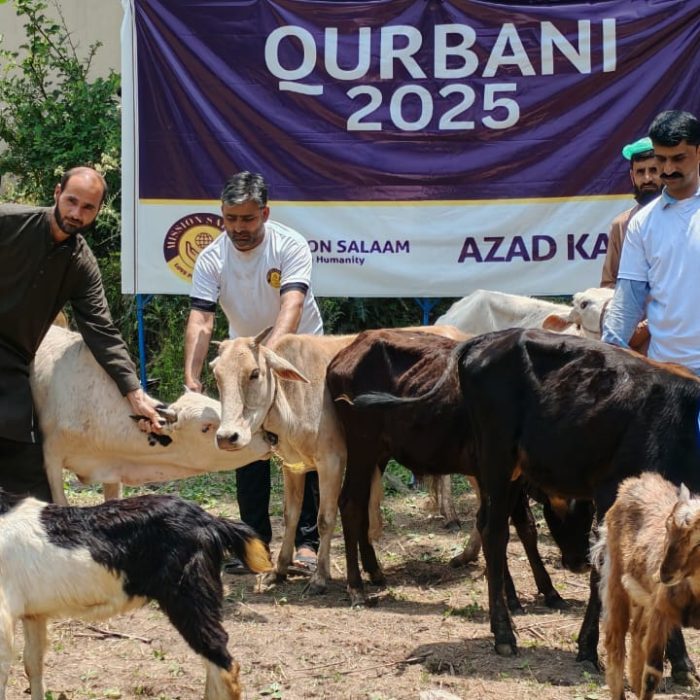 Qurbani 2025 Showcase 2