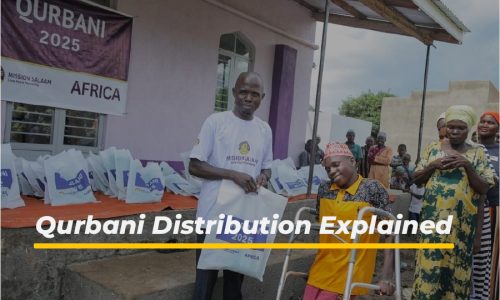 Qurbani Distribution: How Meat Should Be Shared and Why It Matters