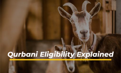 Who Needs to Give Qurbani? Eligibility Explained